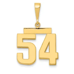 14k Yellow Gold Medium Polished Number 54 Charm