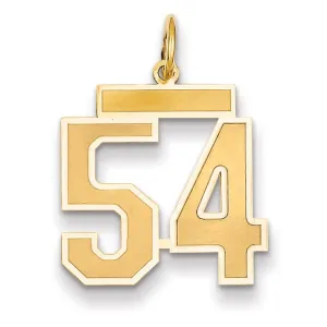 14k Yellow Gold Satin Brush Finish Medium Size Number 54 Charm Pendant